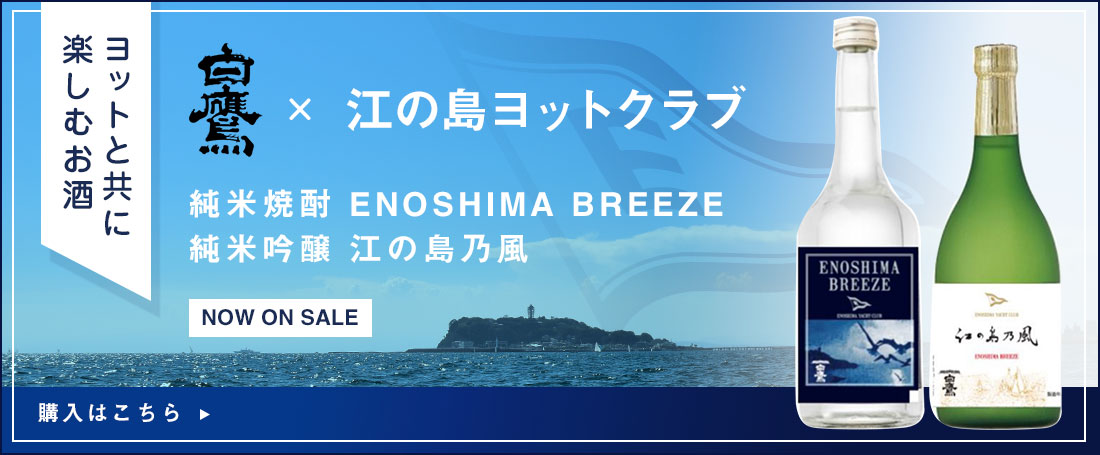 白鷹×江の島ヨットクラブ