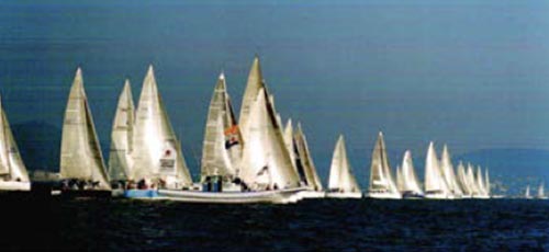 ジャパンカップ