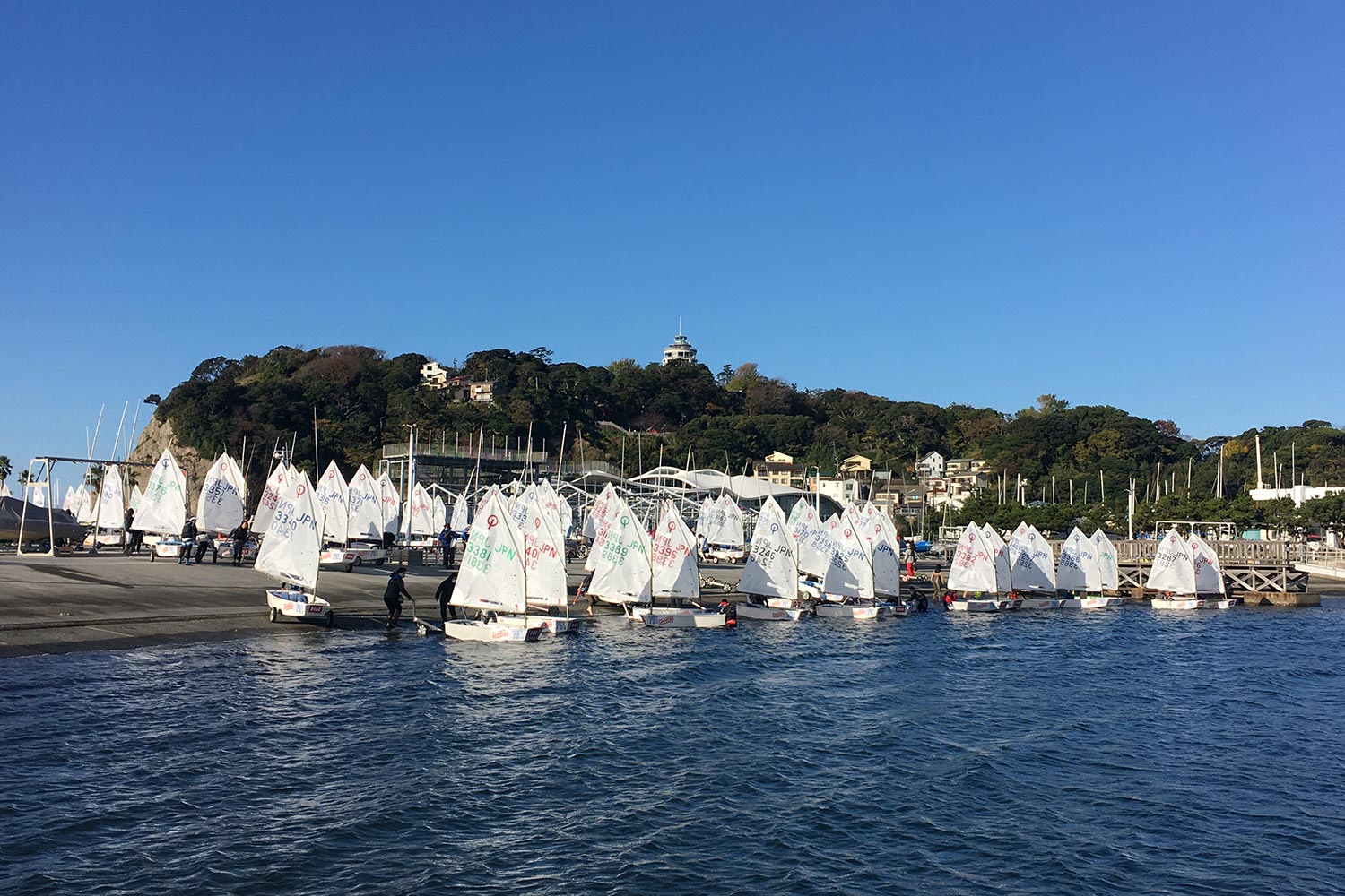 江の島ヨットクラブジュニア