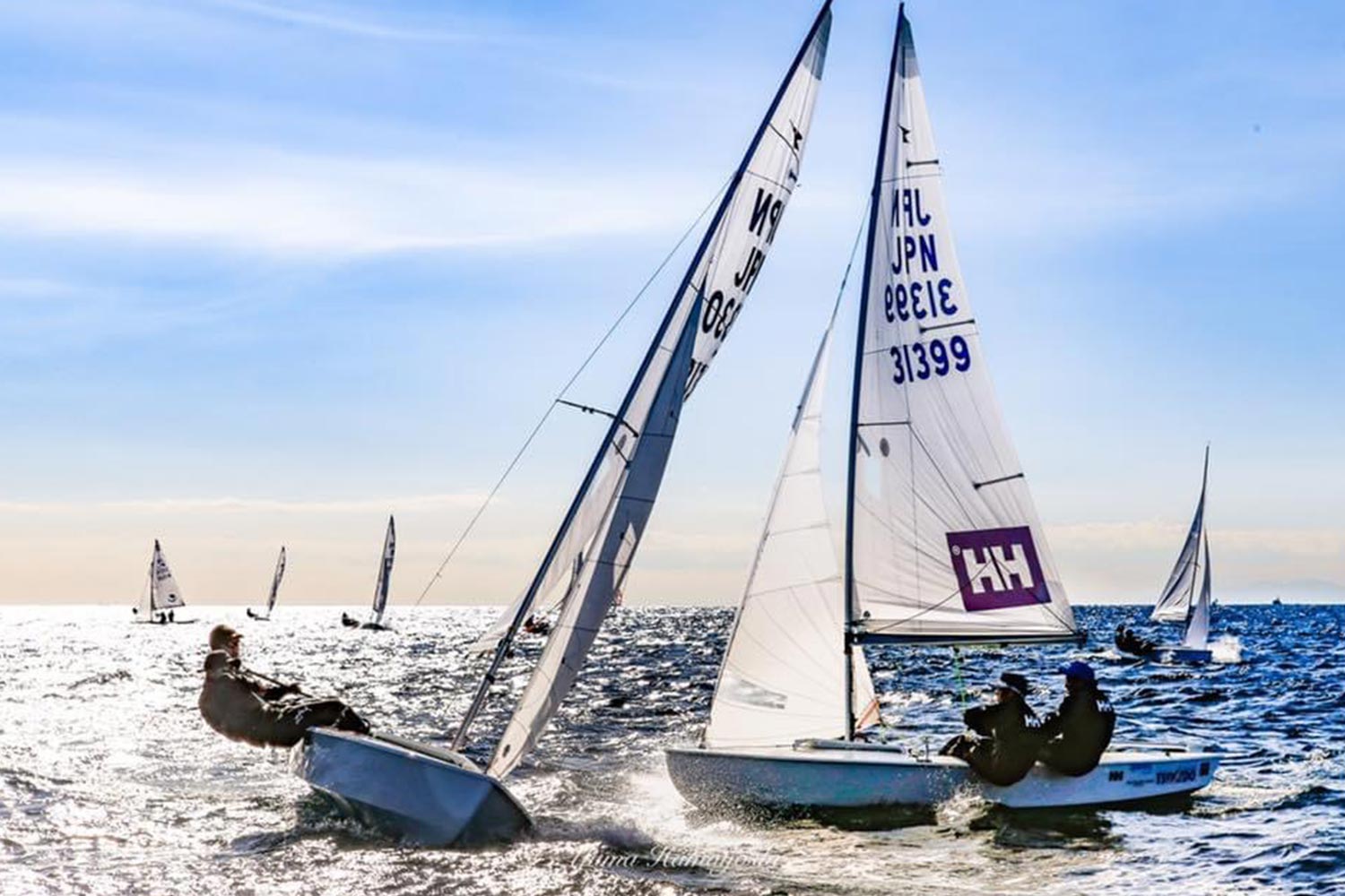 ディンギー スナイプ